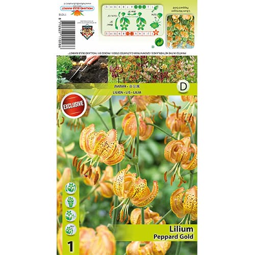 Лилия Peppart Gold артикул фото 1 Лилия Peppart Gold изображение 1 артикул 77823