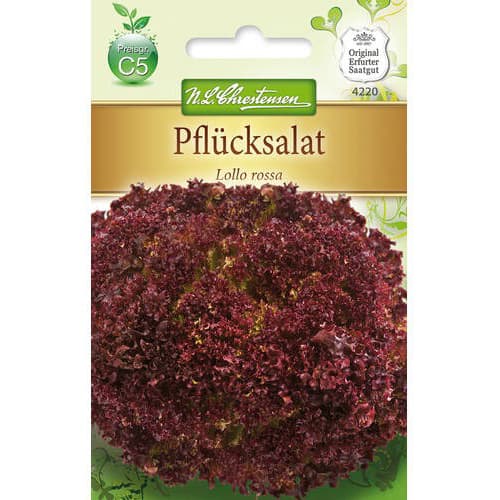 Листна салата Lollo Rossa артикул фото 1 Листна салата Lollo Rossa изображение 1 артикул 78779