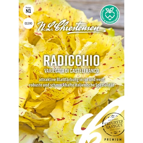 Листна цикория Variegata di Castelfranco изображение 1 артикул 86082
