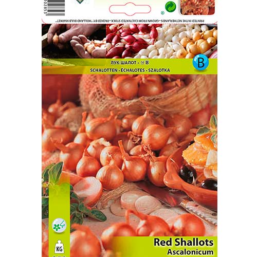 Лук шалот червен изображение 1 артикул 70499