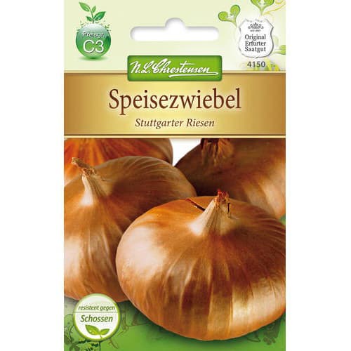Лук Stuttgarter Riesen изображение 1 артикул 78758