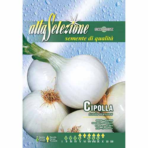 Лук Tonda musona изображение 1 артикул 87146