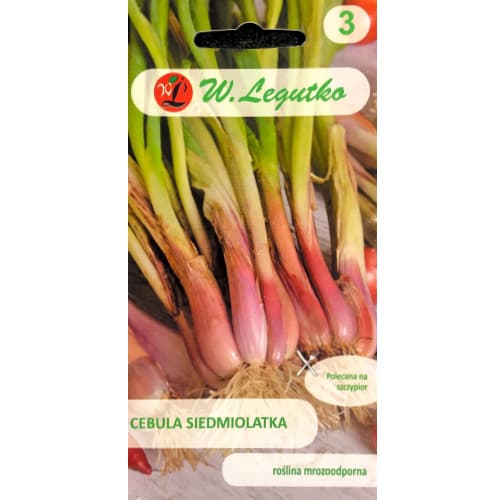 Лук зелен Winter Nest артикул фото 1 Лук зелен Winter Nest изображение 1 артикул 78451