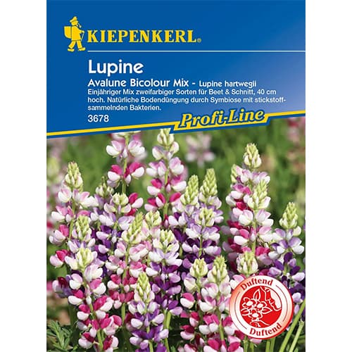 Лупина Avalune Bicolor изображение 1 артикул 86290