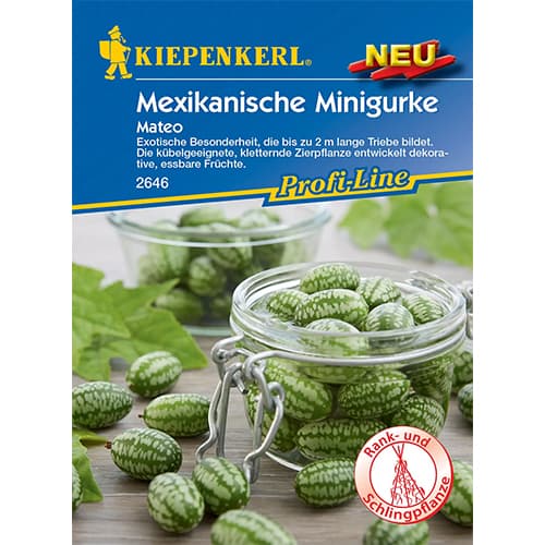 Мексиканска мини краставица Mateo артикул фото 1 Мексиканска мини краставица Mateo изображение 1 артикул 96634