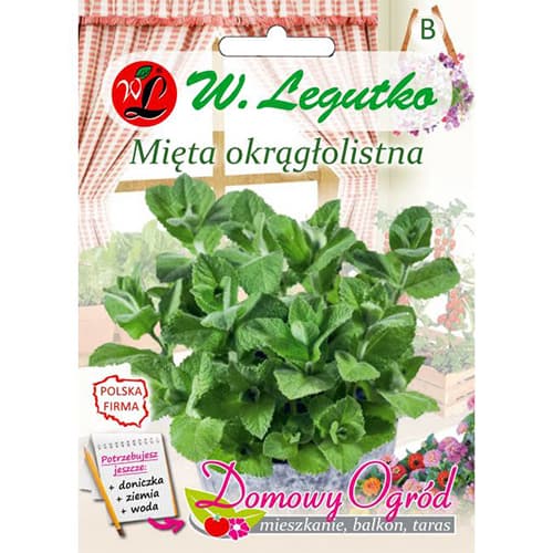 Мента кръглолистна изображение 1 артикул 69646