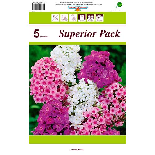 Метличен флокс Mixed изображение 1 артикул 76491