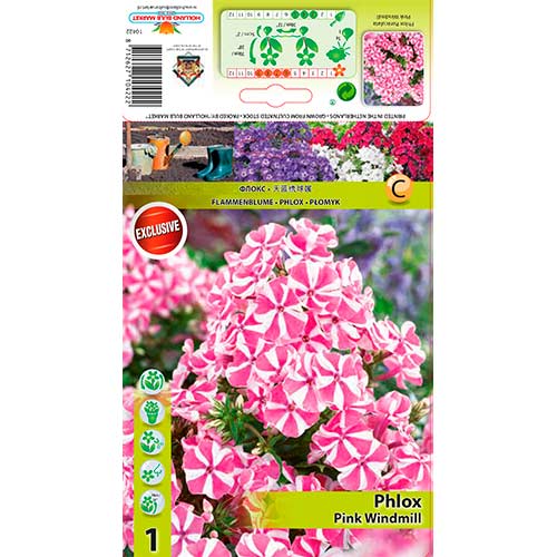 Метличен флокс Pink Windmill изображение 1 артикул 76348