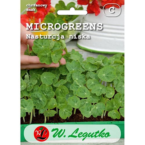 Microgreens - Латинка ниска артикул фото 1 Microgreens - Латинка ниска изображение 1 артикул 78693