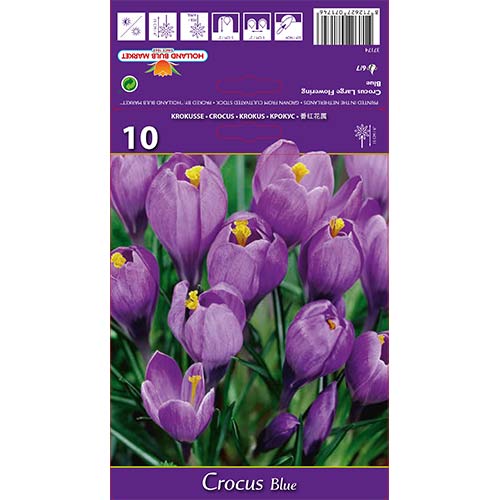 Минзухар Blue изображение 1 артикул 67615