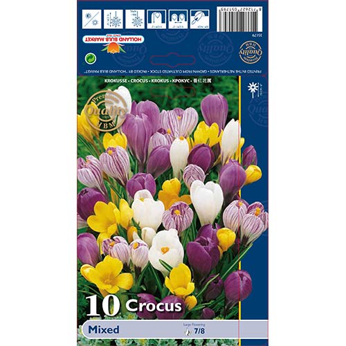 Минзухар eдроцветен, микс артикул фото 1 Минзухар eдроцветен, микс изображение 1 артикул 68015