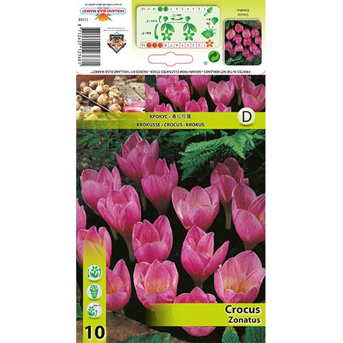 Минзухар Zonatus изображение 1 артикул 67345