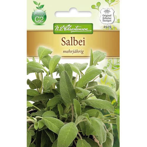 Многогодишна салвия артикул фото 1 Многогодишна салвия изображение 1 артикул 78869