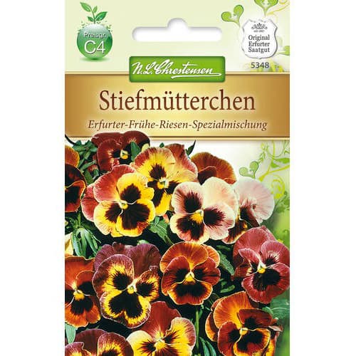 Теменужка Early Giant изображение 1 артикул 78964