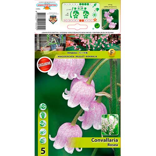 Момина сълза Rosea изображение 1 артикул 76201