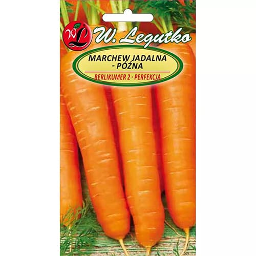 Морков Berlikumer 2 изображение 1 артикул 78483