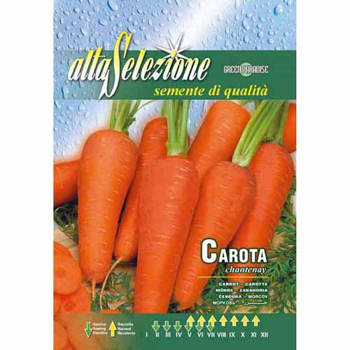 Морков Chantenay изображение 1 артикул 87157