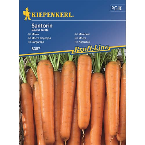Морков Santorin, F1 изображение 1 артикул 87789