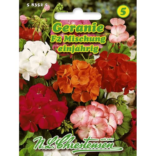 Мушкато с отстъпка (Geranium), смес артикул фото 1 Мушкато с отстъпка (Geranium), смес изображение 1 артикул 78929
