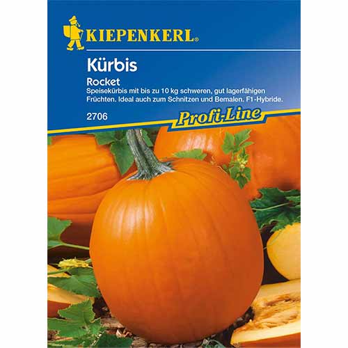 Мускатна тиква Rocket F1 изображение 1 артикул 96629