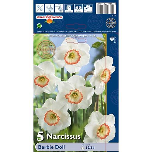 Нарцис Barbie Doll изображение 1 артикул 67639