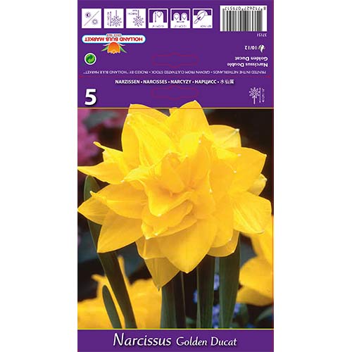 Нарцис Golden Ducat изображение 1 артикул 68096