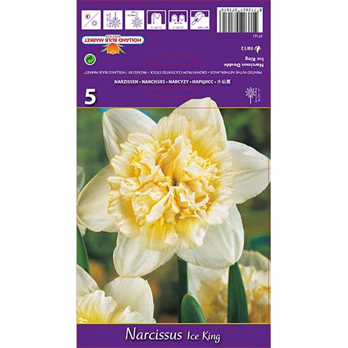 Нарцис Ice King изображение 1 артикул 67415