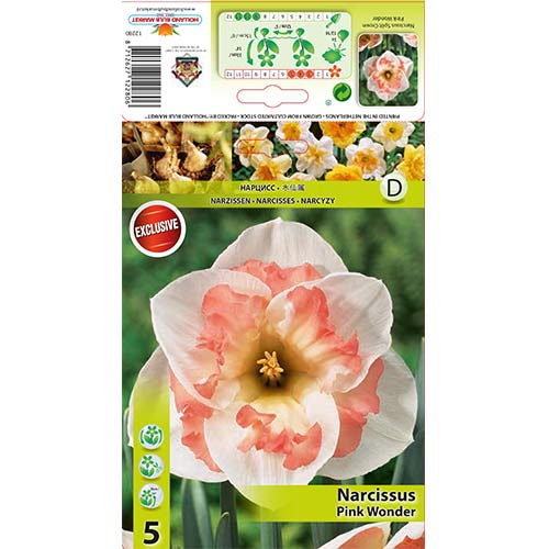 Нарцис Pink Wonder артикул фото 1 Нарцис Pink Wonder изображение 1 артикул 67434