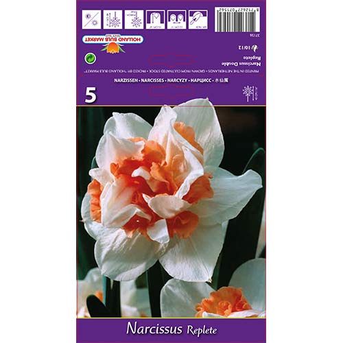 Нарцис Replete изображение 1 артикул 68071