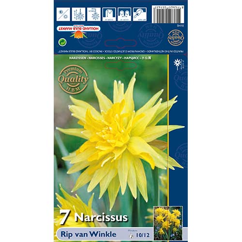 Нарцис Rip van Winkle изображение 1 артикул 67660
