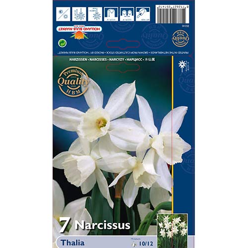 Нарцис Thalia изображение 1 артикул 70236