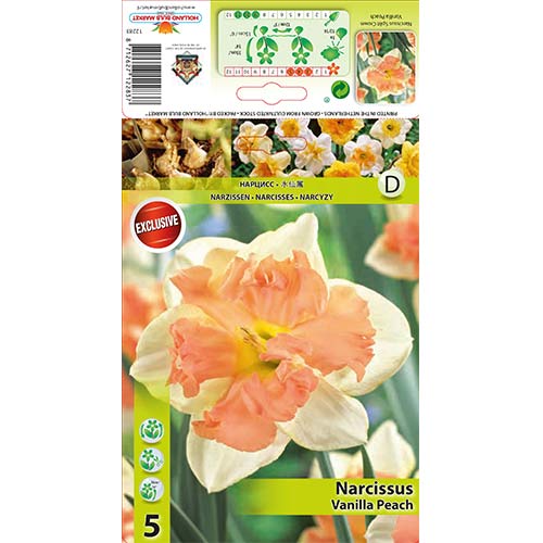 Нарцис Vanilla Peach артикул фото 1 Нарцис Vanilla Peach изображение 1 артикул 67437