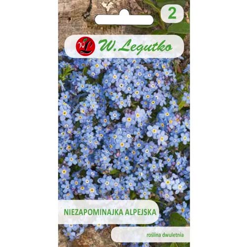 Незабравка алпийска синя Legutko изображение 1 артикул 78614