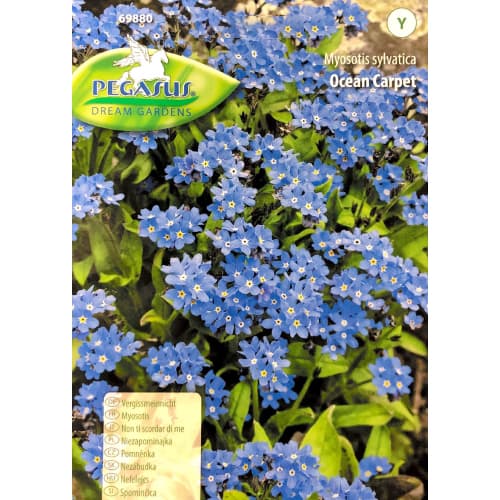 Незабравка Ocean Carpet Kiepenkerl изображение 1 артикул 50001