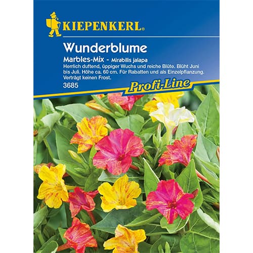 Нощна красавица Kiepenkerl изображение 1 артикул 87762