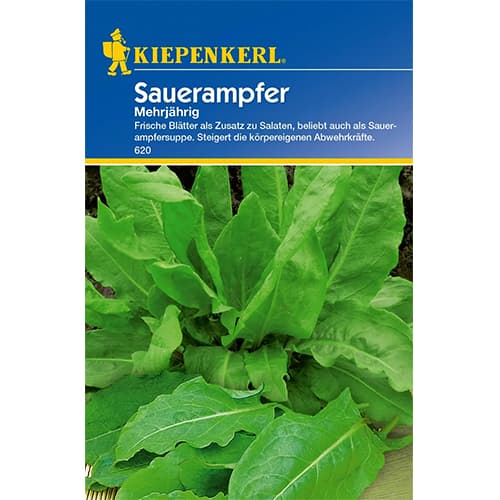 Обикновен киселец артикул фото 1 Обикновен киселец изображение 1 артикул 77474