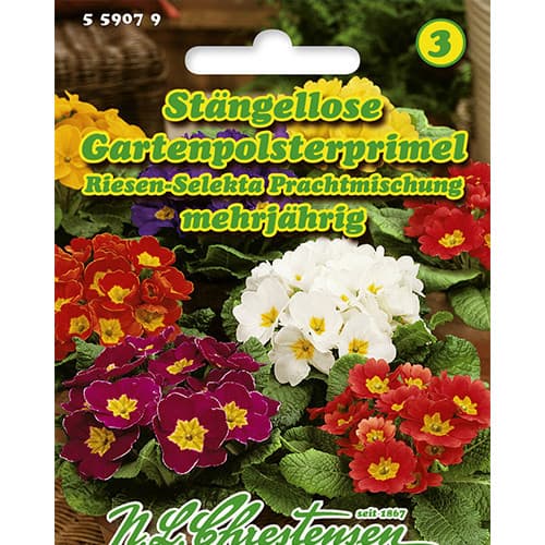 Обикновена иглика, смес изображение 1 артикул 86181