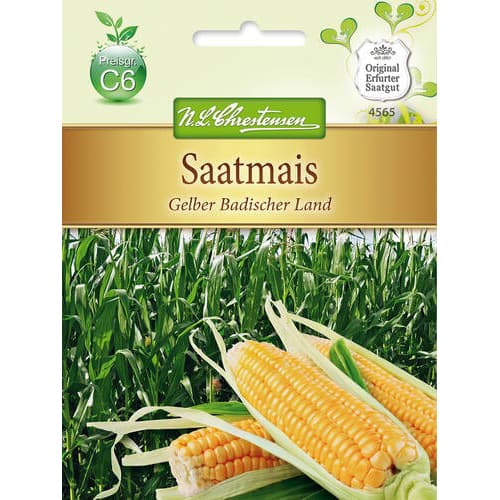 Обикновена царевица артикул фото 1 Обикновена царевица изображение 1 артикул 78883