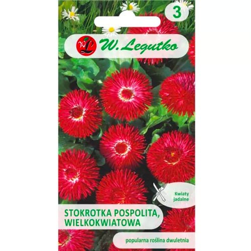 Паричка Gracja, червена Legutko артикул фото 1 Паричка Gracja, червена Legutko изображение 1 артикул 78616