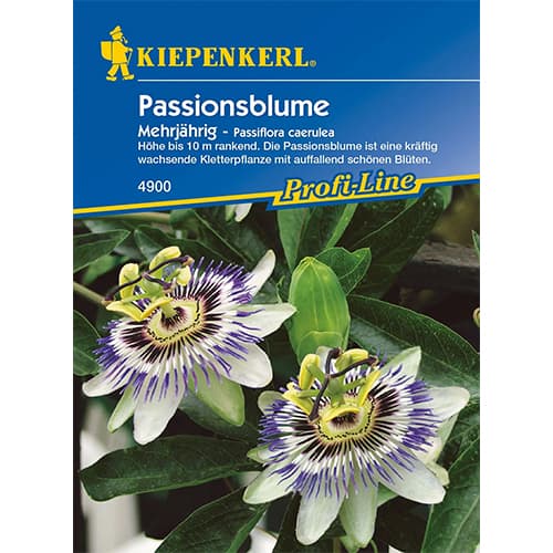 Пасифлора (Passiflora) изображение 1 артикул 77452