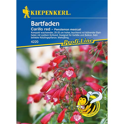 Пенстемон мексикански Carillo Red изображение 1 артикул 86248