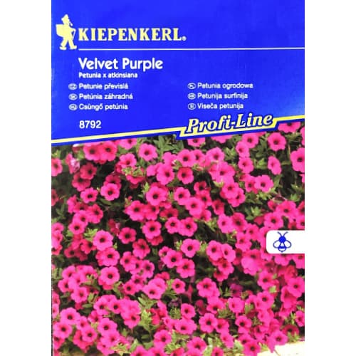Петуния Velvet Purple F1 Kiepenkerl артикул фото 1 Петуния Velvet Purple F1 Kiepenkerl изображение 1 артикул 50061