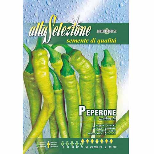 Пипер Lombardo изображение 1 артикул 96372