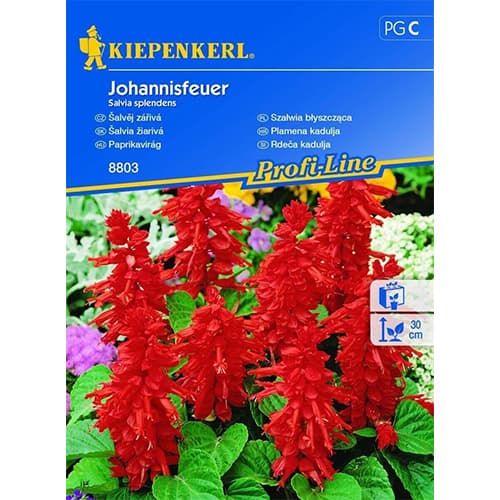 Пламъче Johannisfeuer Kiepenkerl артикул фото 1 Пламъче Johannisfeuer Kiepenkerl изображение 1 артикул 96568