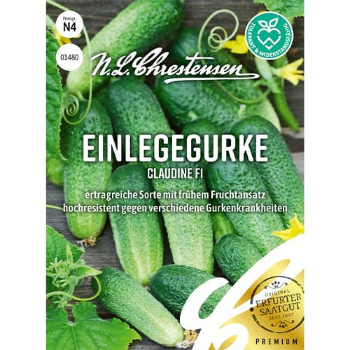 Краставица Claudine F1 изображение 1 артикул 86034