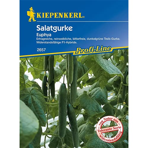 Краставица Euphya F1 изображение 1 артикул 86521