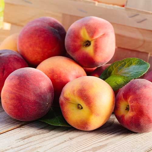 Праскова Romeo изображение 1 артикул 5671