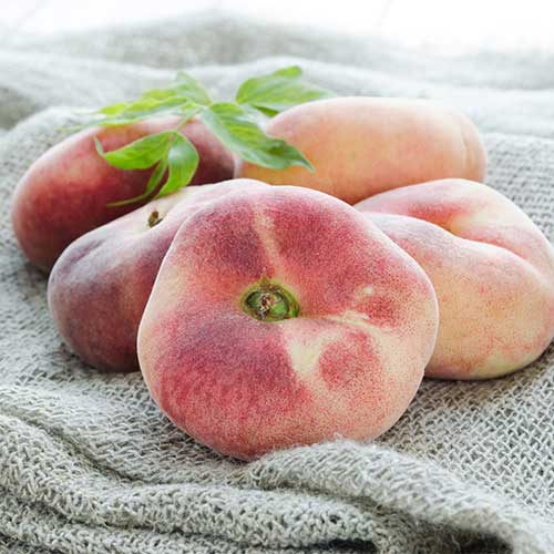 Праскова Saturn артикул фото 1 Праскова Saturn изображение 1 артикул 5672