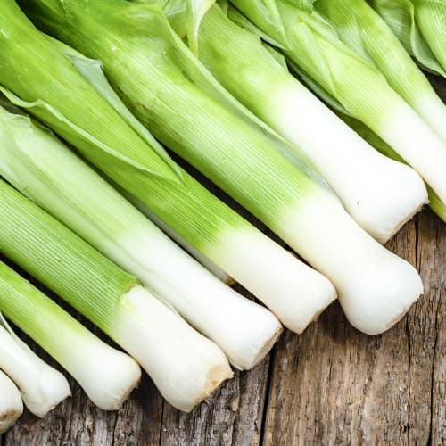 Праз Elefant Kiepenkerl изображение 1 артикул 50020