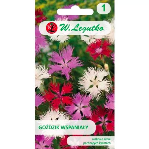 Прекрасен карамфил, смес Legutko изображение 1 артикул 50103